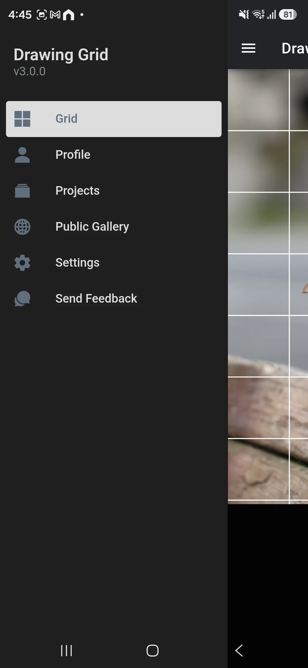 Drawing Grid screenshot