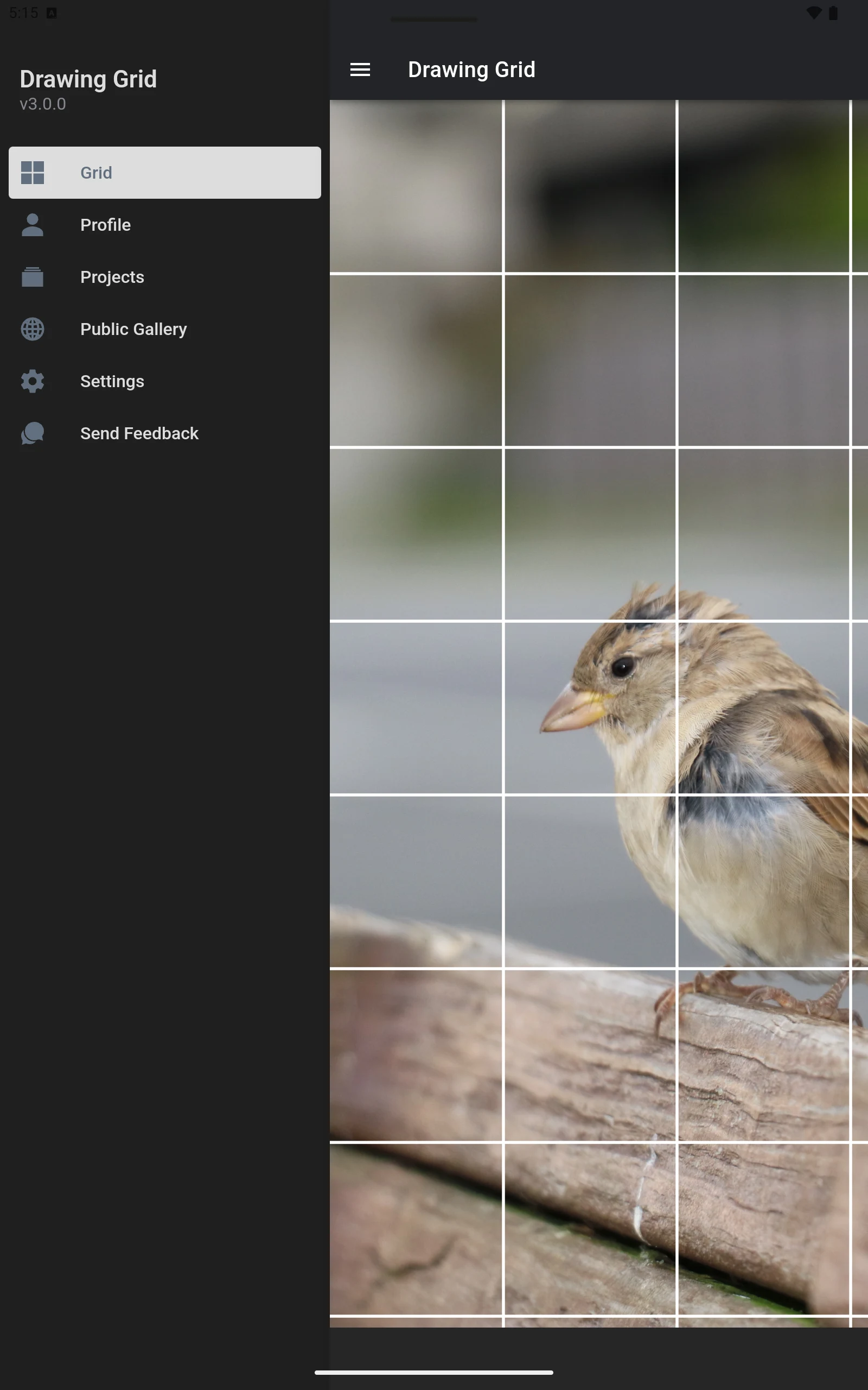 Drawing Grid screenshot