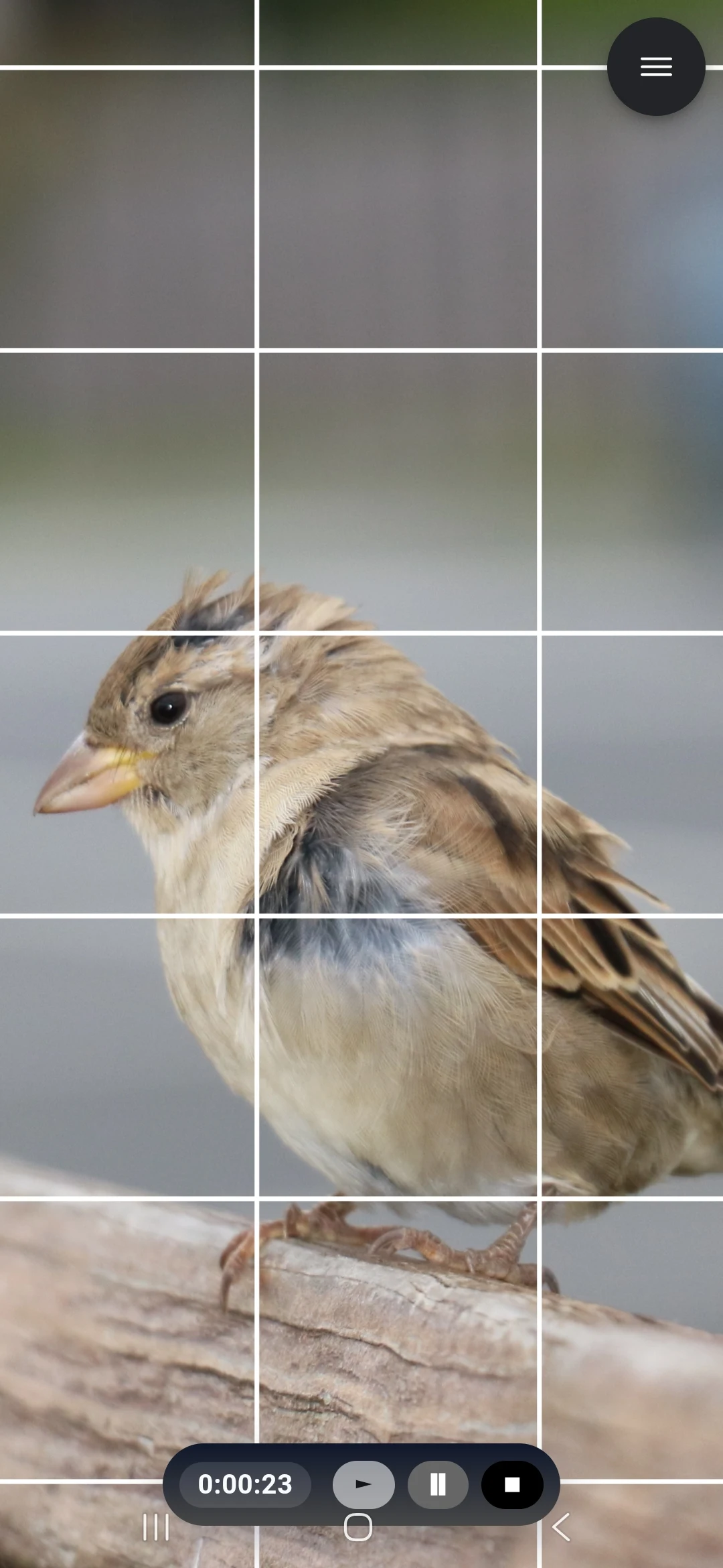 Drawing Grid screenshot